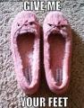 Hungry Hungry Slippers