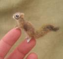 Will aww accept a felted squirrel?