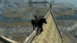 So I found this glitch in Skyrim, I call it Roofhorse.