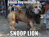Snoop Dog evolved...