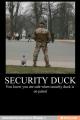 Security Duck