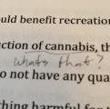I also wrote an essay about legalizing marijuana. This was on my paper after it got peer reviewed