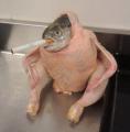Chicken stuffed with smoked salmon... the instructions were a little less than clear.