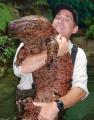 Giant Salamander (x-post from /r/WTF)