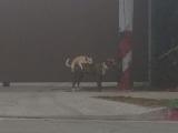 Meanwhile in Wilmington.