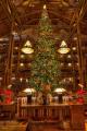 Christmas at the wilderness lodge.