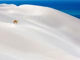Sand Dunes of Socotra Island, Yemen.