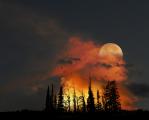 Fires at full blaze under a rising moon