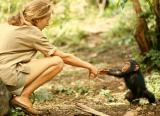 Jane Goodall and a baby chimpanzee