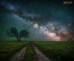 Somniloquy [1400x1150] [OC] Photo by Mike Taylor
