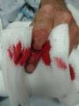 Buddy's dad cut his finger off with a table saw. NSFF (Not Safe For Fingers)