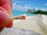 Chilling on the beach with a joint.