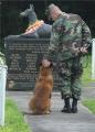 At the US Marine's War Dog Memorial.