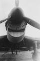 Stuka is absolutely chuffed that it was able to support the Wehrmacht