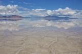 Bonneville Salt Flats, Utah after a recent downpour [OC] [4800 x 3200]