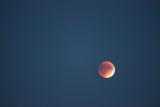 Lunar Eclipse - Western Canada