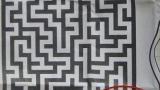 The hardest maze ever