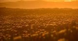 Golden sunset in Golden Coast [OC] [1479x980]