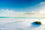Pure white sand on Pensacola Beach, FL [OC] [1920 x 1272]