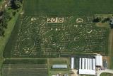 My neighboring farmer made a pretty sweet corn maze this year