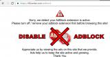 Disallowing to view the website is NOT the correct way to make your users disable adblock