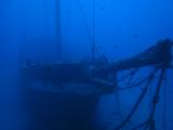 Sunken whaler dive ship off Maui