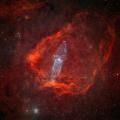 The Squid Nebula.