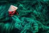 Like Green Smoke - A Woman Crafts a Fishing Net near Phan Rang, Vietnam by Danny Sen Wong