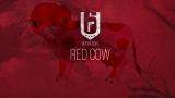 Looking forward to the new season, operation Red Cow.