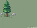 [OC] Little pine