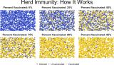 How Herd Immunity Works [OC]
