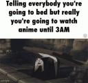 Binge Watching Anime