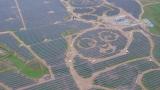 China's Panda Shaped Solar Farm