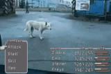 Final fantasy in real life...with a Dog