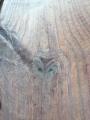 This owl at the picnic table...