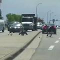 Kind man helps family of geese safely cross dangerous road way even though Mother Goose doesn't understand his good intentions