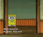Spongebob introduces Patrick to Reddit