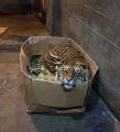 PsBattle: Tiger sitting in cardboard box