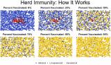Herd immunity: how it works