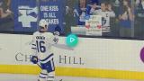 Wholesome Leafs player