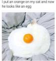 Forbidden Fried Egg