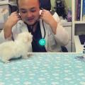 Fluffy puppy gets a checkup