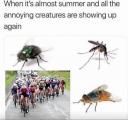 The four things I hate about summer