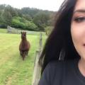 My alpaca gets so excited when he sees me