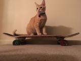 He was a sk8r blep, she said “See you l8r, blep”