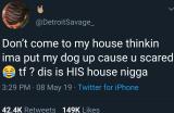 Dogs rule his house