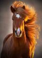 Ridiculously photogenic horse.