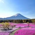 Mount Fuji (｡･ω･｡)ﾉ♡