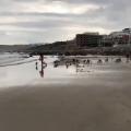 Tangier has a disabled dog beach meetup!!