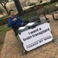 Need a new brain